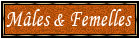 MalesFemelles